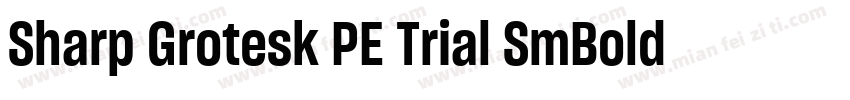 Sharp Grotesk PE Trial SmBold Itl 1字体转换